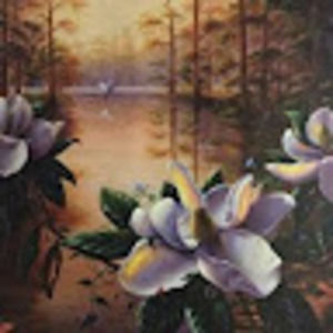 Meet your Posher, Haylee